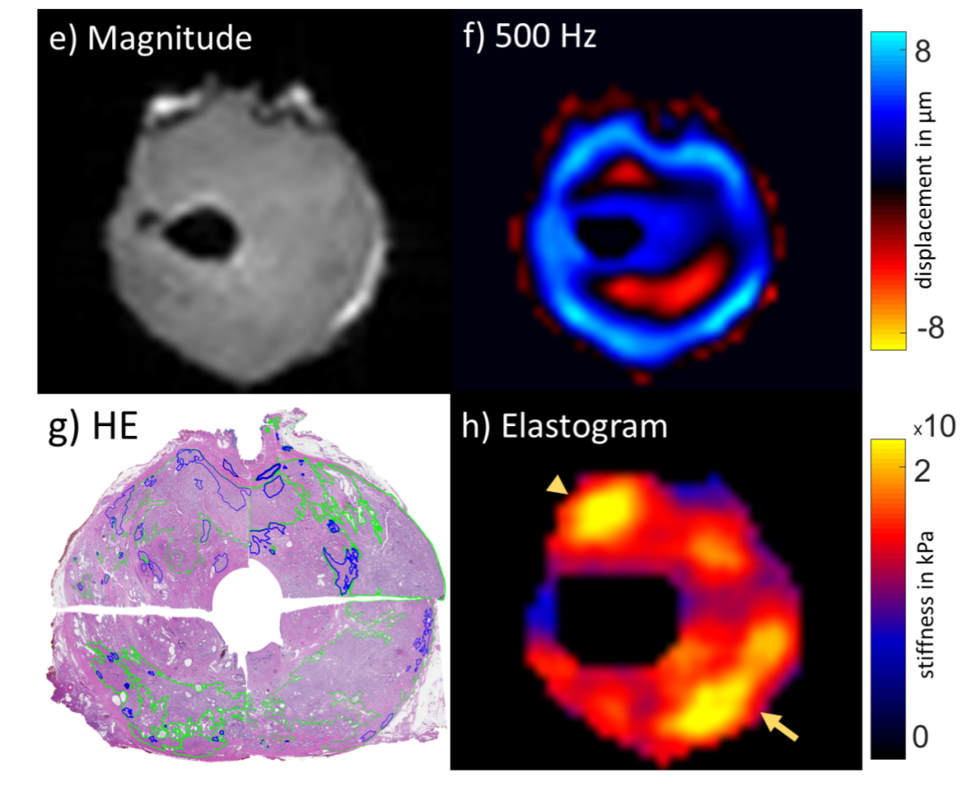 Fig 6